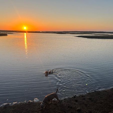 Chalet A 2 Kilometros De La Playa Chiclana de la Frontera Dış mekan fotoğraf
