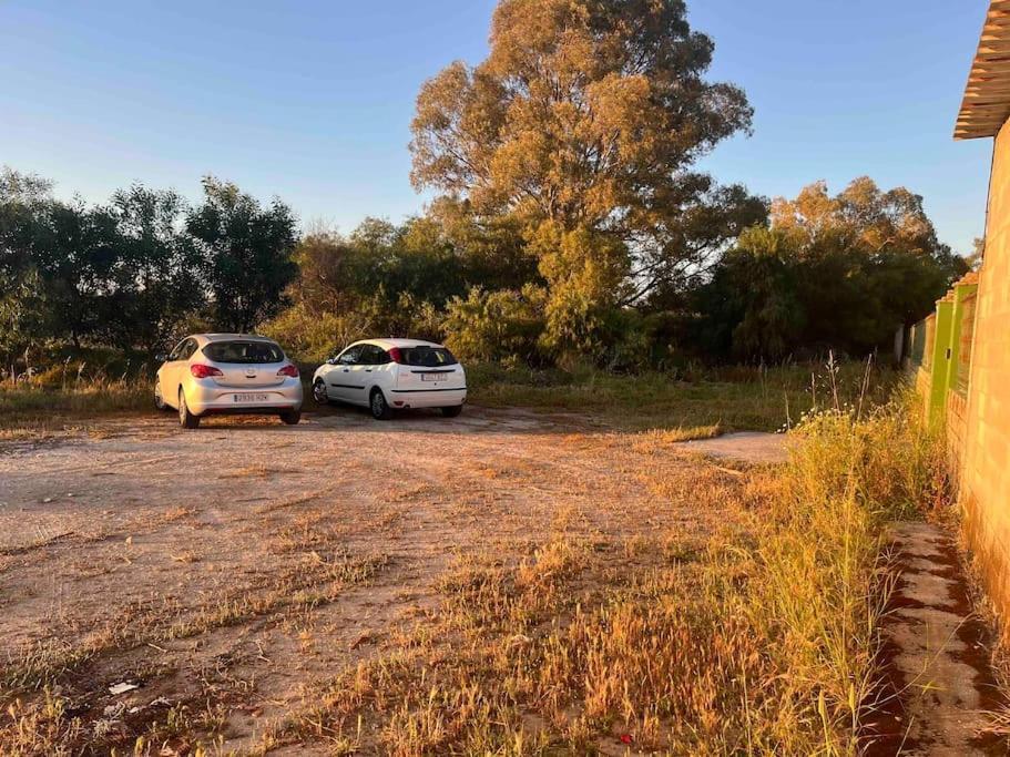 Chalet A 2 Kilometros De La Playa Chiclana de la Frontera Dış mekan fotoğraf