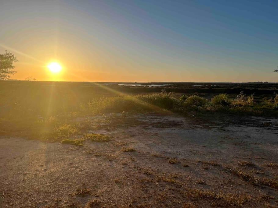 Chalet A 2 Kilometros De La Playa Chiclana de la Frontera Dış mekan fotoğraf